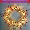 14Ft 40 LED Red White Blue Star Garland with Lights for 4th of July Decorations